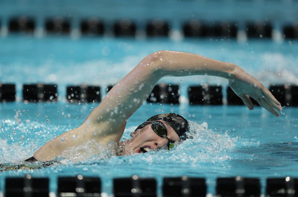 Iowa's Allyssa Fluit swims the 500 yard freestyle Thursday, November 15, 2018 during the 2018 Hawkeye Invitational at the Campus Recreation and Wellness Center. (Brian Ray/hawkeyesports.com)