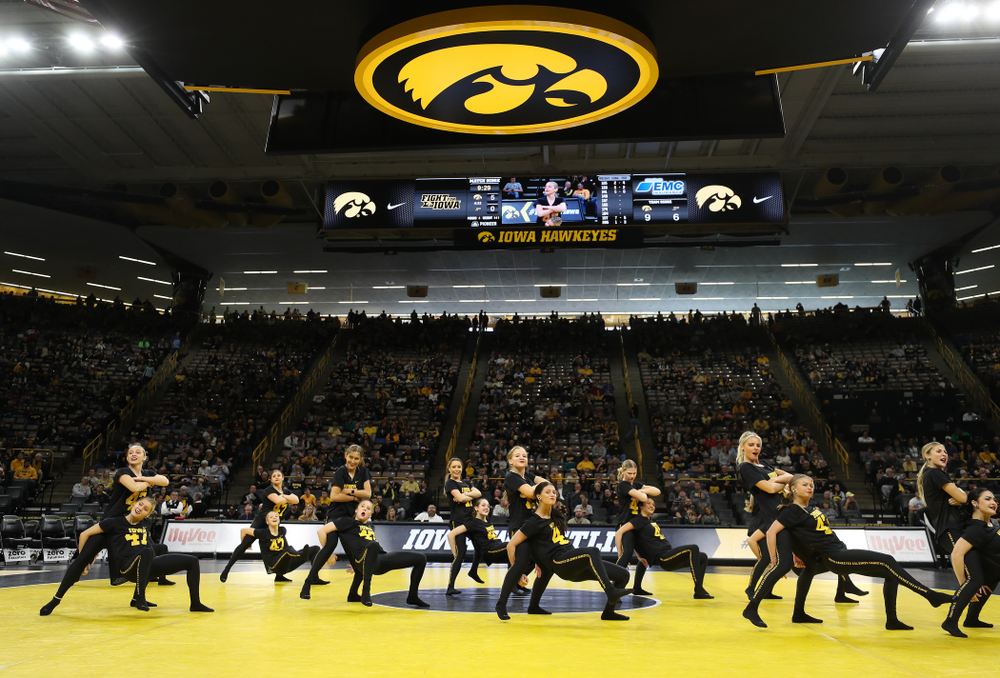 The Iowa Dance Team performs at the intermission of the Iowa Hawkeyes match against Purdue Saturday, November 24, 2018 at Carver-Hawkeye Arena. (Brian Ray/hawkeyesports.com)