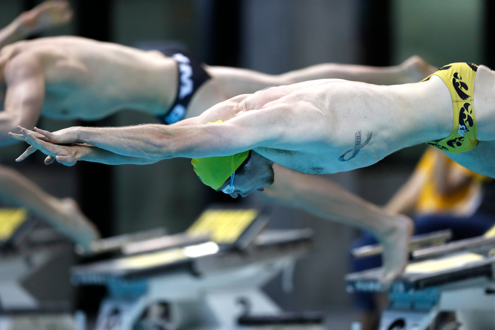 Michal Brzus swims the 50 yard freestyle during the Black and Gold Intrasquad Saturday, September 29, 2018 at the Campus Recreation and Wellness Center. (Brian Ray/hawkeyesports.com)