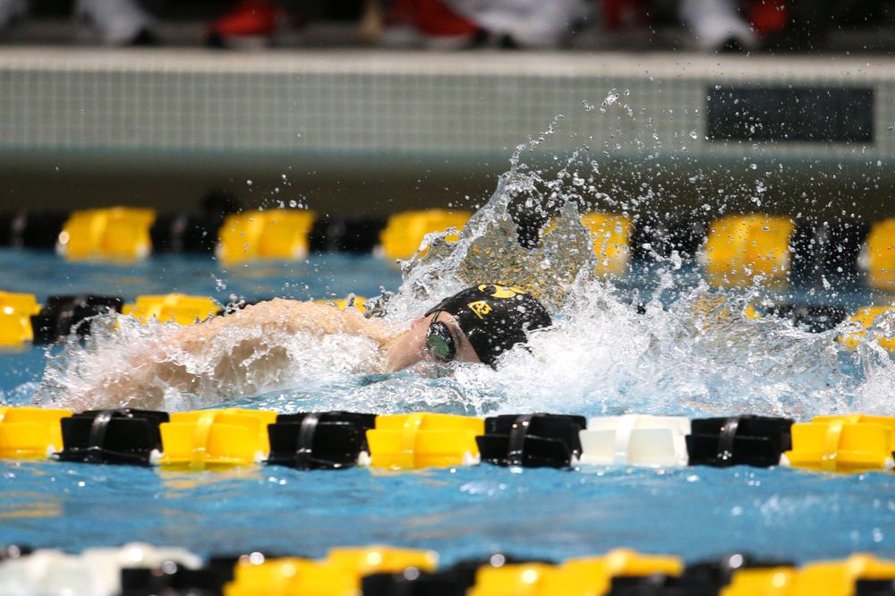 The Iowa A team competes in the 800-yard freestyle relay at the 2019 Big Ten Swimming and Diving meet Wednesday, February 27, 2019 at the Campus Wellness and Recreation Center. (Lily Smith/hawkeyesports.com)