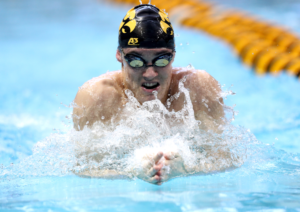 Iowa's Daniel Swanepoel competes in the 100-yard breaststroke on the third day at the 2019 Big Ten Swimming and Diving Championships Thursday, February 28, 2019 at the Campus Wellness and Recreation Center. (Brian Ray/hawkeyesports.com)