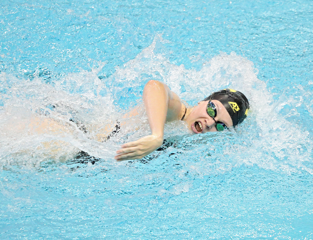 Iowa’s Lauren McDougall swims the women’s 100-yard freestyle event during their meet against Michigan State and Northern Iowa at the Campus Recreation and Wellness Center in Iowa City on Friday, Oct 4, 2019. (Stephen Mally/hawkeyesports.com)