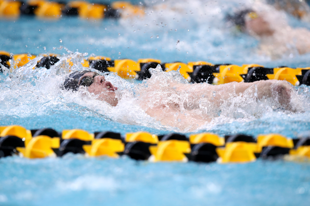Iowa's Anze Fers Erzen swims in the preliminaries of the 200-yard IM during the 2019 Big Ten Swimming and Diving Championships Thursday, February 28, 2019 at the Campus Wellness and Recreation Center. (Brian Ray/hawkeyesports.com)