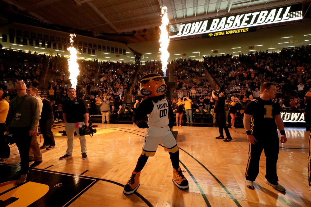Herky The Hawk against the Maryland Terrapins Friday, January 10, 2020 at Carver-Hawkeye Arena. (Brian Ray/hawkeyesports.com)