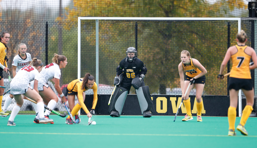 Iowa Hawkeyes Leslie Speight (96) against Stanford Sunday, October 7, 2018 at Grant Field. (Brian Ray/hawkeyesports.com)
