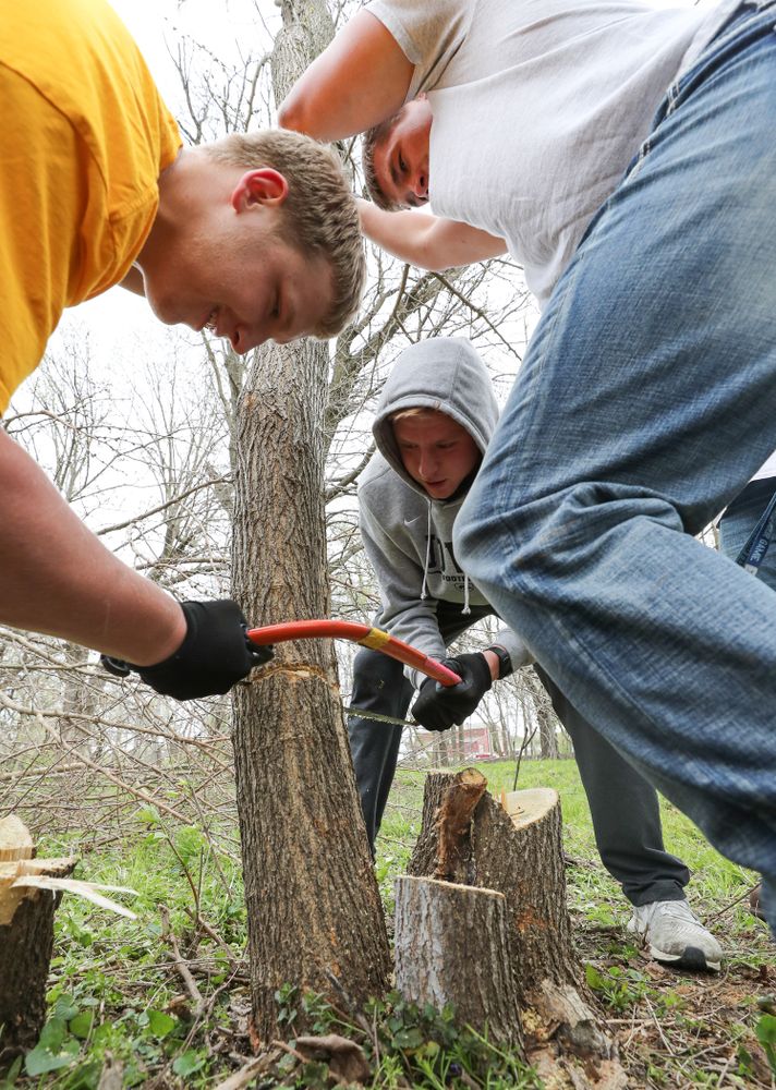 Members of the Hawkeye Football team volunteer with the Iowa City Public Works department along the Iowa River during the annual Iowa Athletics Day of Caring Sunday, April 28, 2019 in Iowa City. (Brian Ray/hawkeyesports.com)