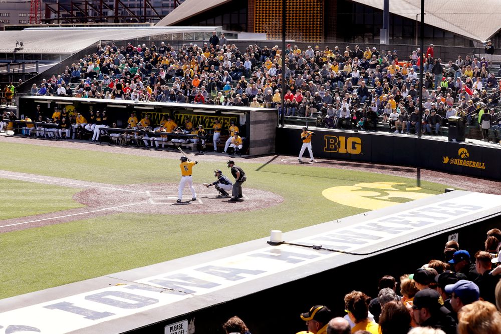 Iowa Hawkeyes catcher Tyler Cropley (5) against the Michigan Wolverines Sunday, April 29, 2018 at Duane Banks Field. (Brian Ray/hawkeyesports.com)