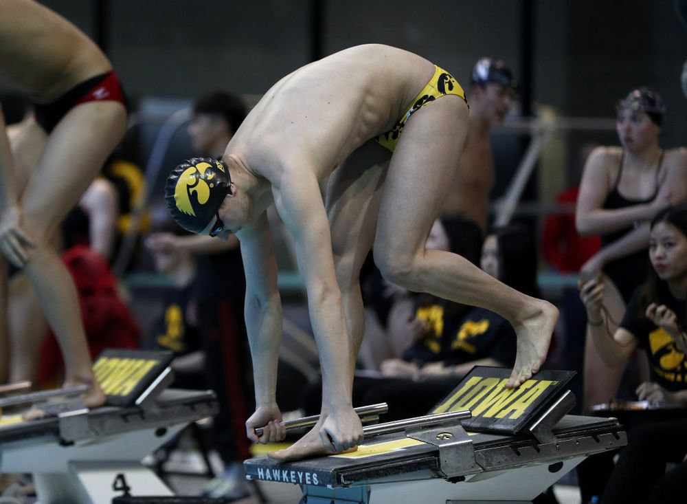 Iowa's Aleksey Tarasenko swims the 200 yard freestyle during a double dual against Wisconsin and Northwestern Saturday, January 19, 2019 at the Campus Recreation and Wellness Center. (Brian Ray/hawkeyesports.com)