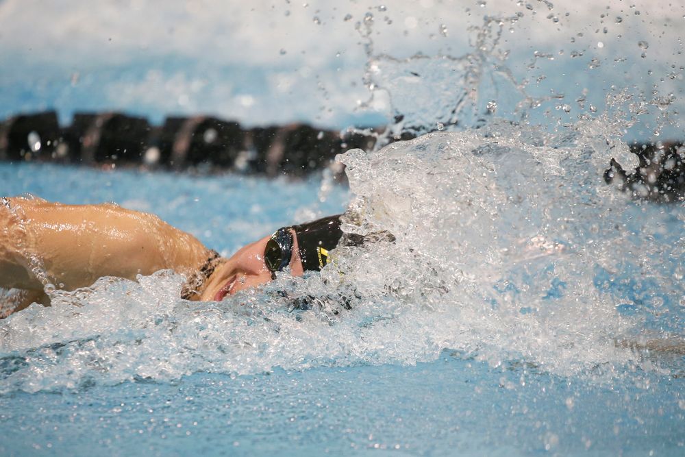 Iowa’s Hannah Burvill swims the 100-yard freestyle during the Iowa swimming and diving meet vs Notre Dame and Illinois on Saturday, January 11, 2020 at the Campus Recreation and Wellness Center. (Lily Smith/hawkeyesports.com)