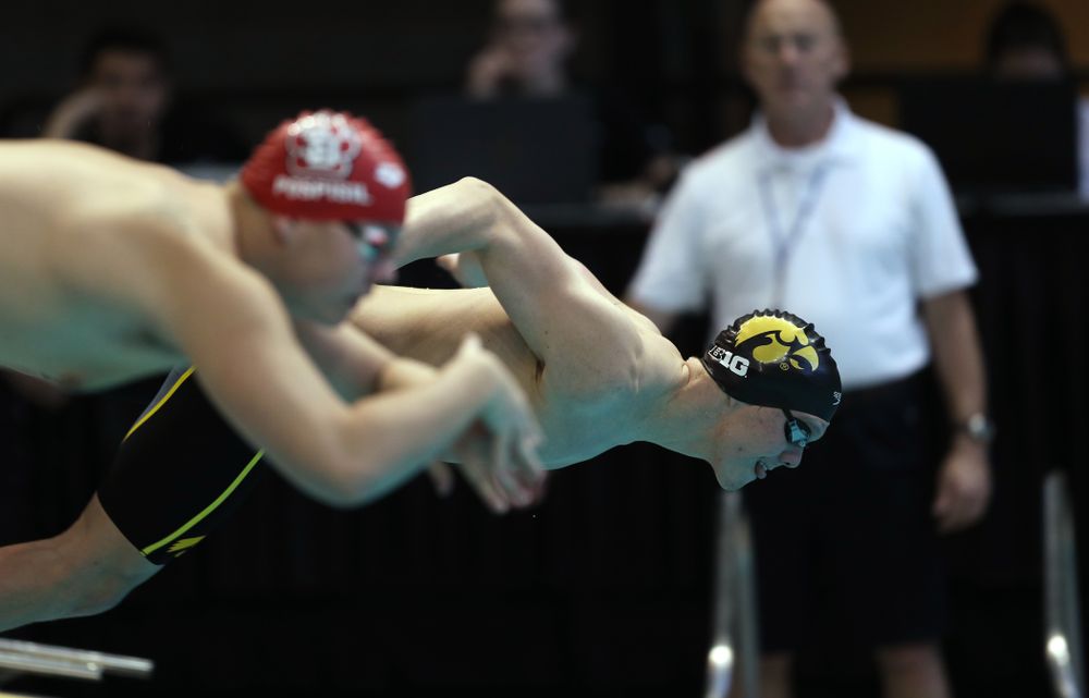 Iowa's Forrest White swims the 500 yard freestyle Thursday, November 15, 2018 during the 2018 Hawkeye Invitational at the Campus Recreation and Wellness Center. (Brian Ray/hawkeyesports.com)