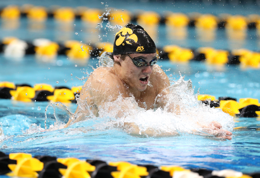 Iowa's Daniel Swanepoel swims the breaststroke leg of the 200 medley relay at the 2019 Big Ten Swimming and Diving meet Wednesday, February 27, 2019 at the Campus Wellness and Recreation Center. (Brian Ray/hawkeyesports.com)