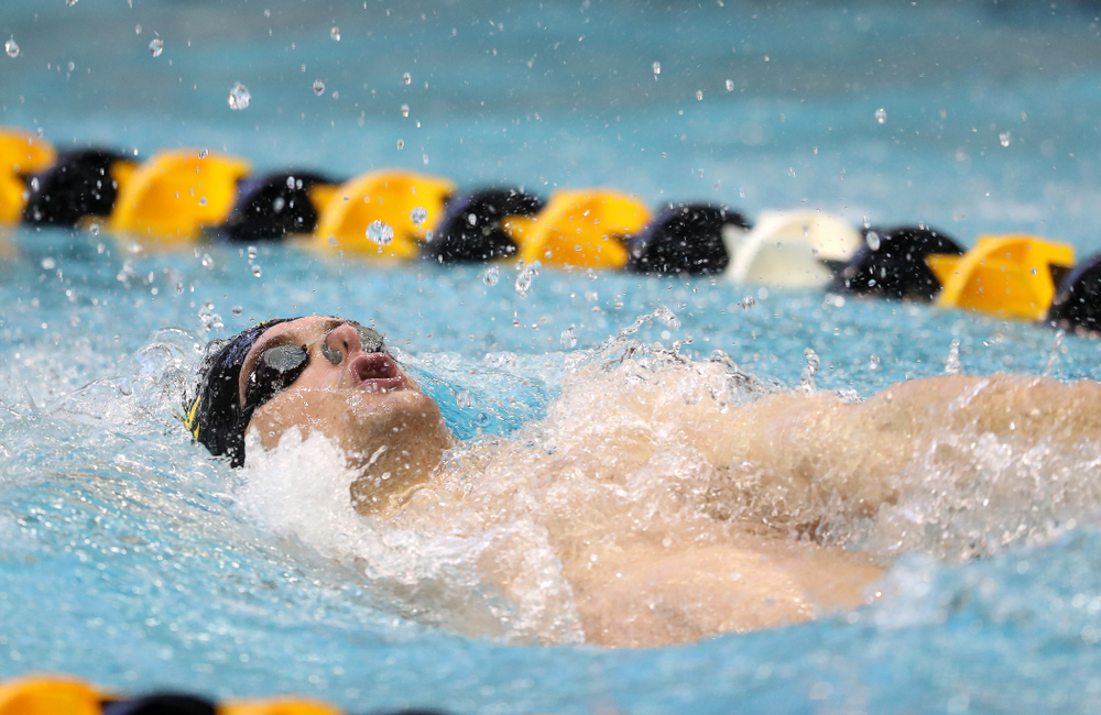 Iowa's Kenneth Mende swims the 100 yard backstroke during a double dual against Wisconsin and Northwestern Saturday, January 19, 2019 at the Campus Recreation and Wellness Center. (Brian Ray/hawkeyesports.com)