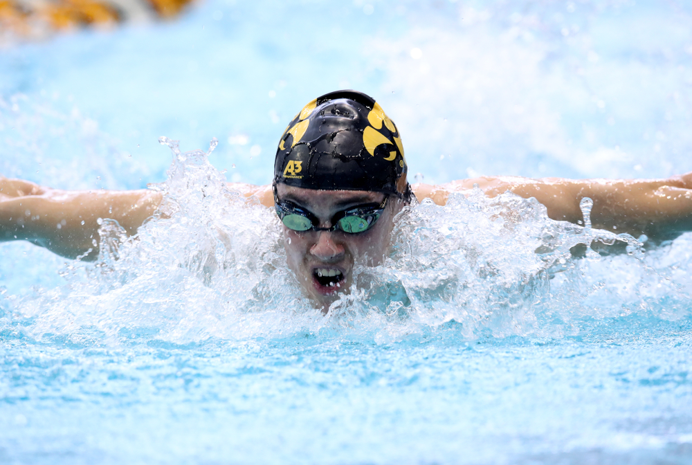 Iowa's Caleb Babb swims in the preliminaries of the 50-yard freestyle during the 2019 Big Ten Swimming and Diving Championships Thursday, February 28, 2019 at the Campus Wellness and Recreation Center. (Brian Ray/hawkeyesports.com)