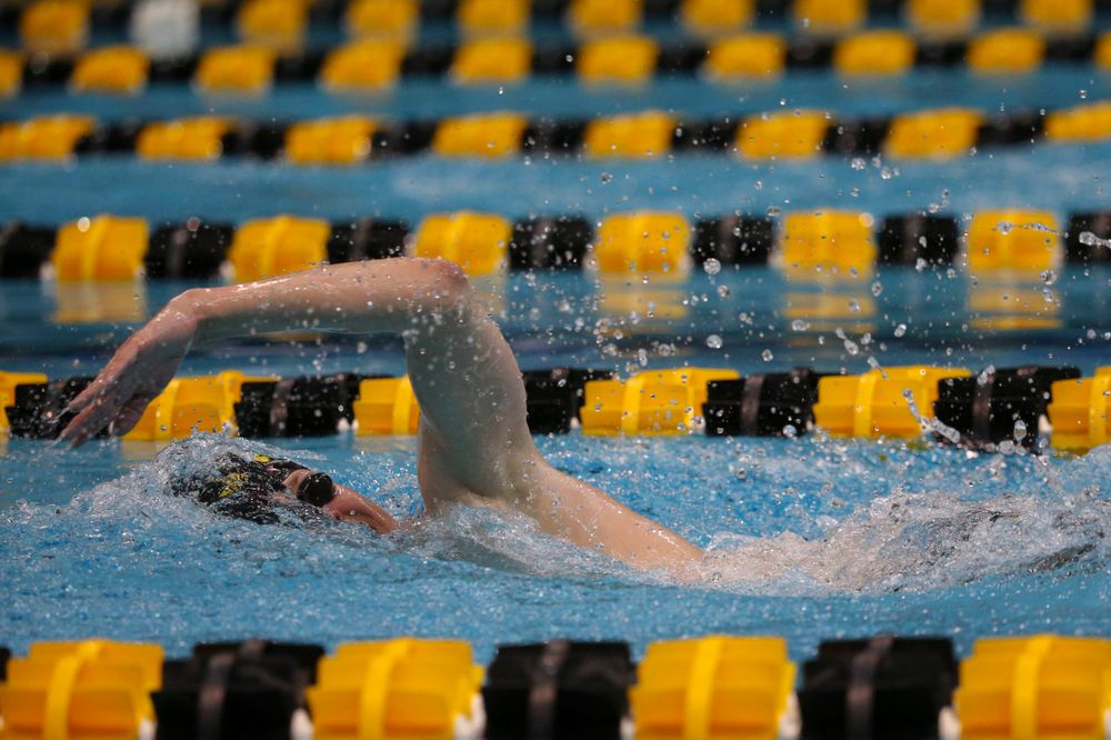 Iowa's B team at the 1,650-yard freestyle race Saturday, March 2, 2019 at the Campus Recreation and Wellness Center. (Lily Smith/hawkeyesports.com)