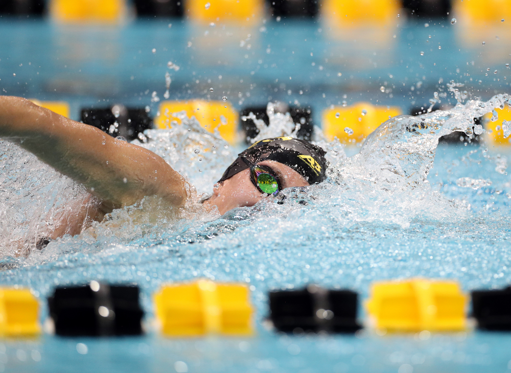 IowaÕs Meghan Hackett swims the 50 yard freestyle against the Michigan Wolverines Friday, November 1, 2019 at the Campus Recreation and Wellness Center. (Brian Ray/hawkeyesports.com)