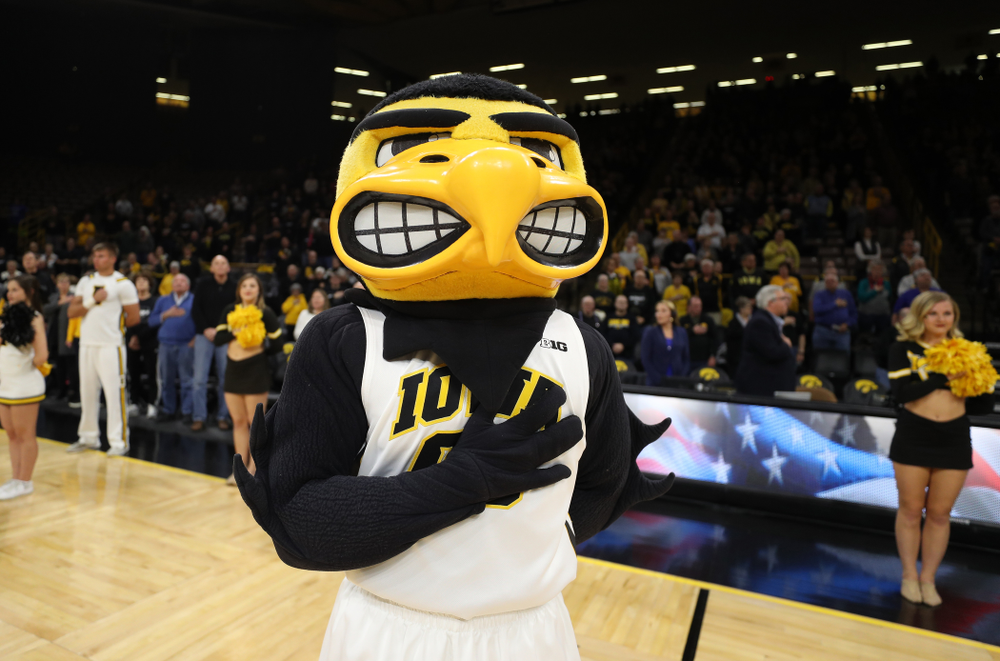 Herky The Hawk against the Wisconsin Badgers Monday, January 7, 2019 at Carver-Hawkeye Arena. (Brian Ray/hawkeyesports.com)