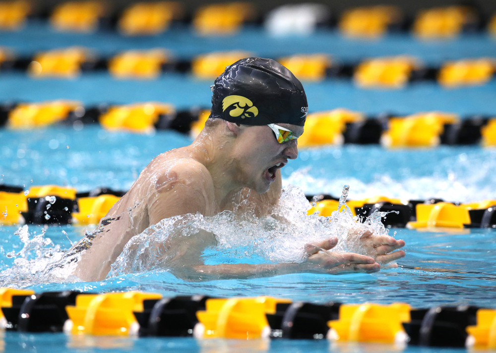 Iowa's Anze Fers Erzen swims in the preliminaries of the 200-yard IM during the 2019 Big Ten Swimming and Diving Championships Thursday, February 28, 2019 at the Campus Wellness and Recreation Center. (Brian Ray/hawkeyesports.com)