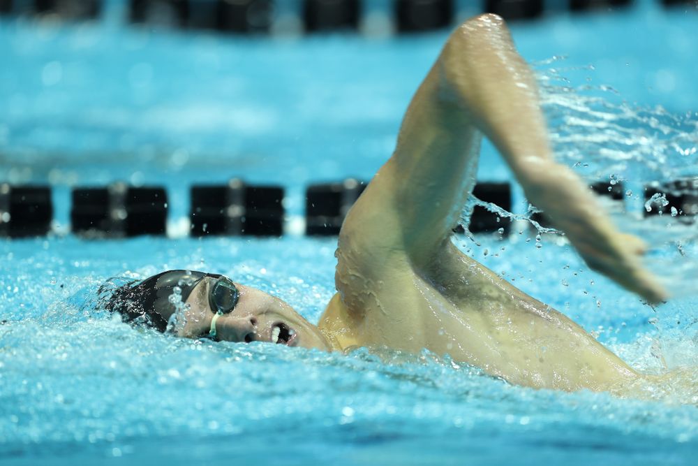 Iowa's Thomas Pederson swims the 500 yard freestyle Thursday, November 15, 2018 during the 2018 Hawkeye Invitational at the Campus Recreation and Wellness Center. (Brian Ray/hawkeyesports.com)