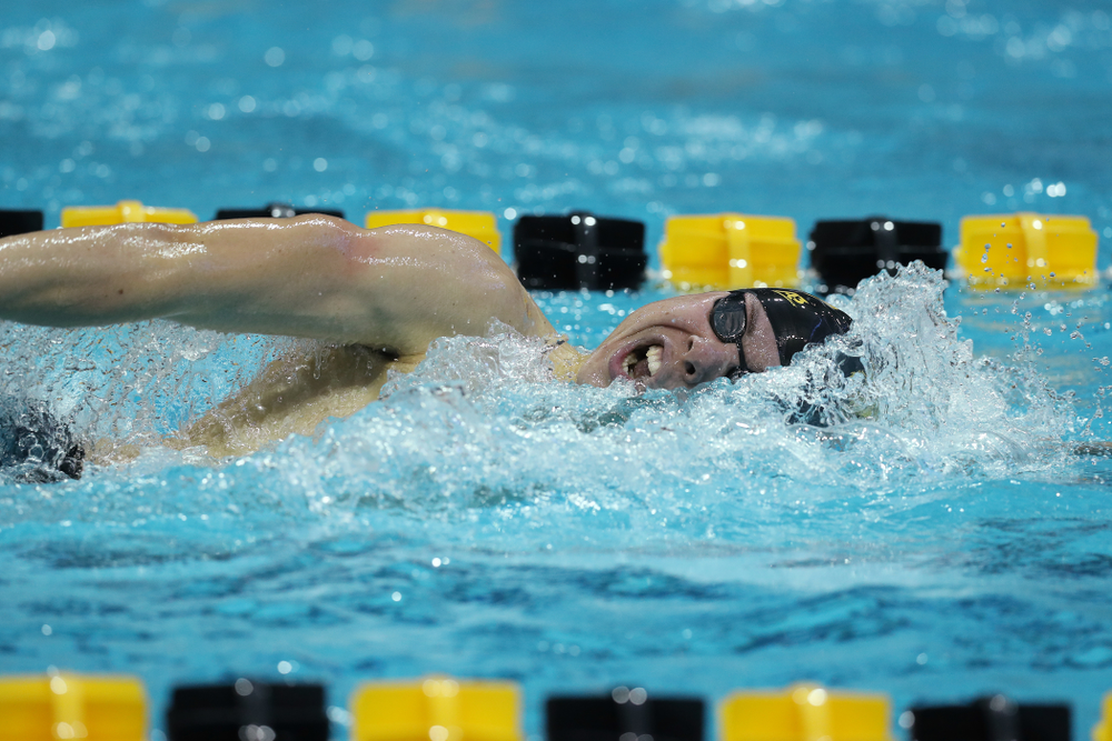 Iowa's Mateusz Arndt swims the 500 yard freestyle Thursday, November 15, 2018 during the 2018 Hawkeye Invitational at the Campus Recreation and Wellness Center. (Brian Ray/hawkeyesports.com)