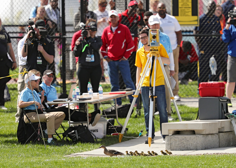 A family of ducks walk through the women’s hammer throw event on the first day of the Big Ten Outdoor Track and Field Championships at Francis X. Cretzmeyer Track in Iowa City on Friday, May. 10, 2019. (Stephen Mally/hawkeyesports.com)