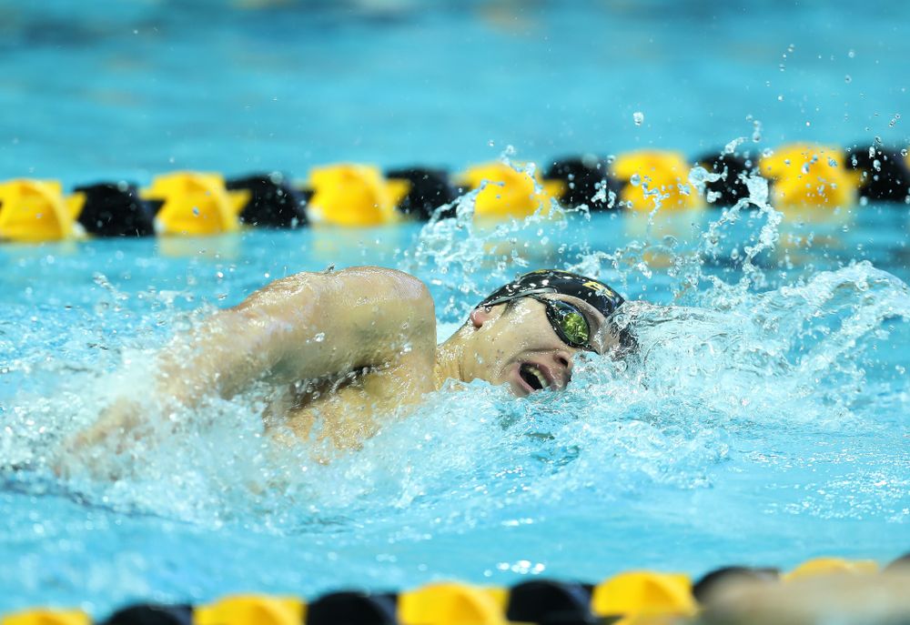 Iowa's Michael Tenney swims the 500 yard freestyle Thursday, November 15, 2018 during the 2018 Hawkeye Invitational at the Campus Recreation and Wellness Center. (Brian Ray/hawkeyesports.com)