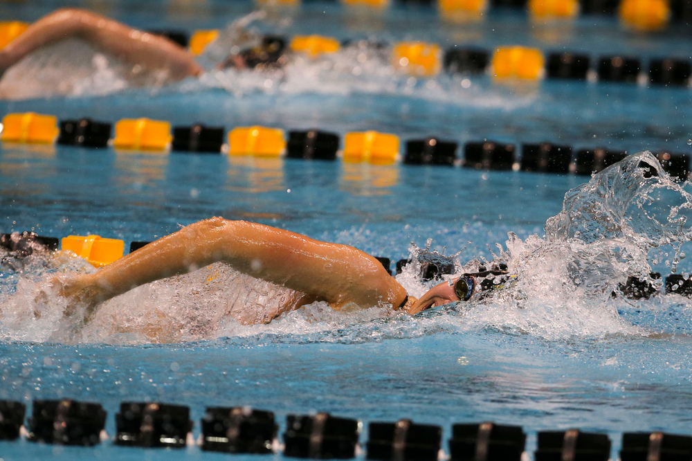 Iowa’s Hannah Burvill during Iowa swim and dive vs Minnesota on Saturday, October 26, 2019 at the Campus Wellness and Recreation Center. (Lily Smith/hawkeyesports.com)