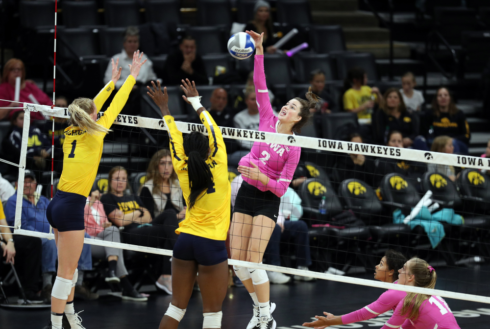 Iowa Hawkeyes setter Courtney Buzzerio (2) against the Michigan Wolverines Friday, October 11, 2019 at Carver-Hawkeye Arena.(Brian Ray/hawkeyesports.com)