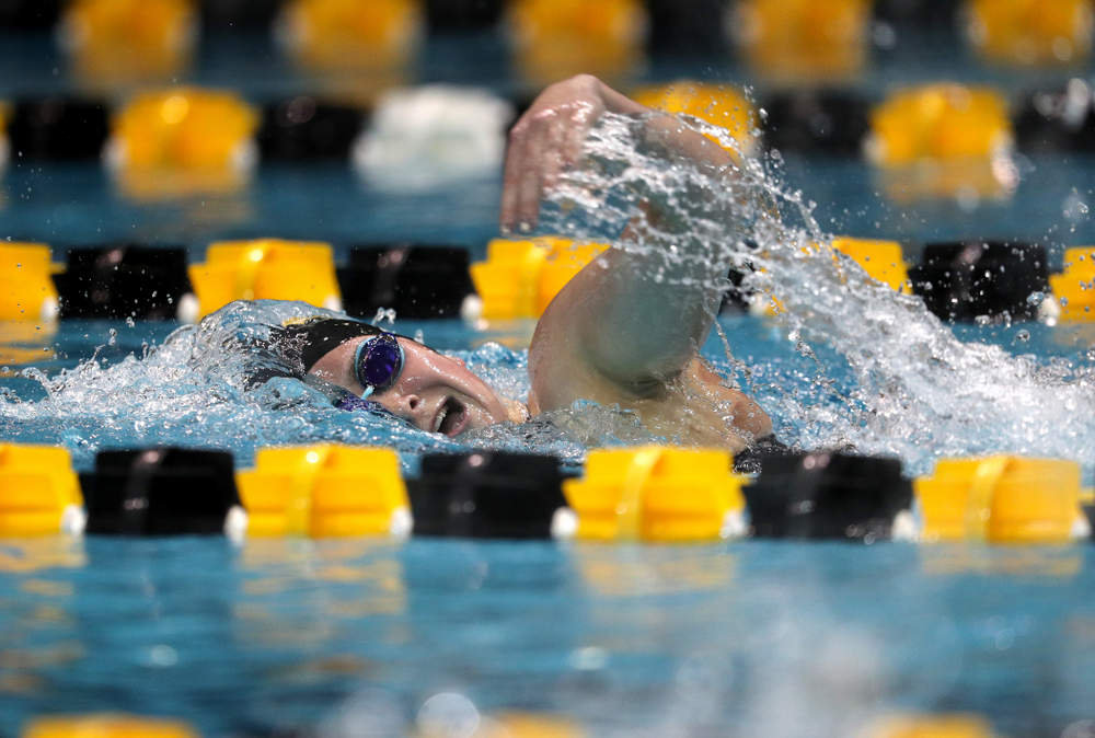 Iowa's Abbey Schneider swims the 500-yard freestyle against the Iowa State Cyclones in the Iowa Corn Cy-Hawk Series Friday, December 7, 2018 at at the Campus Recreation and Wellness Center. (Brian Ray/hawkeyesports.com)