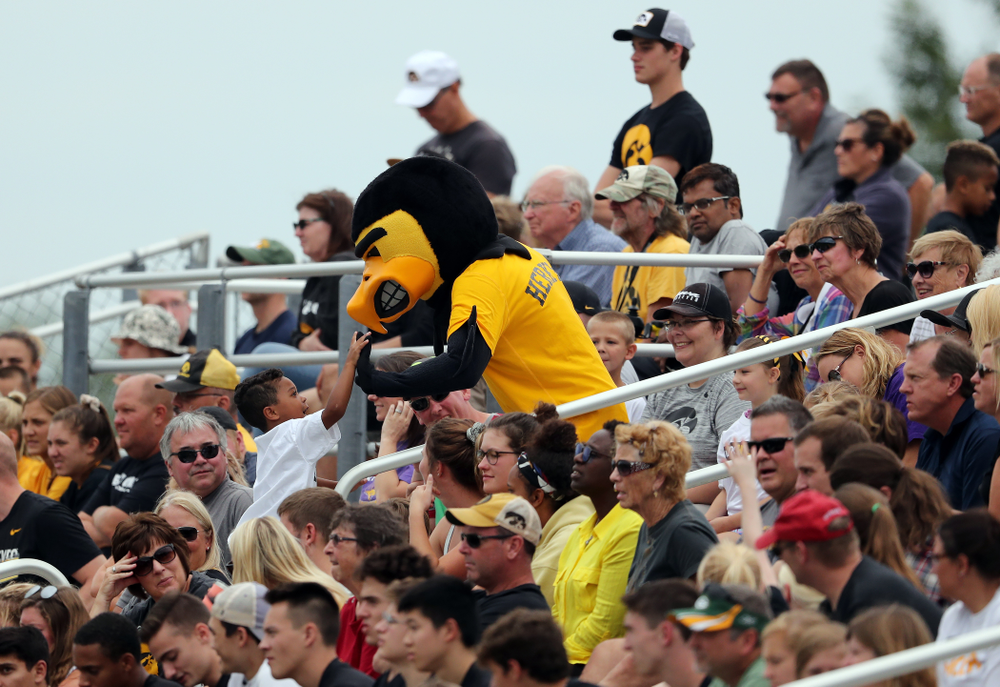 Herky The Hawk during a 6-1 win over Northern Iowa Sunday, August 25, 2019 at the Iowa Soccer Complex. (Brian Ray/hawkeyesports.com)
