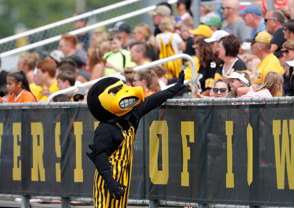 Herky the Hawk against the Creighton Bluejays Sunday, August 19, 2018 at the Iowa Soccer Complex. (Brian Ray/hawkeyesports.com)