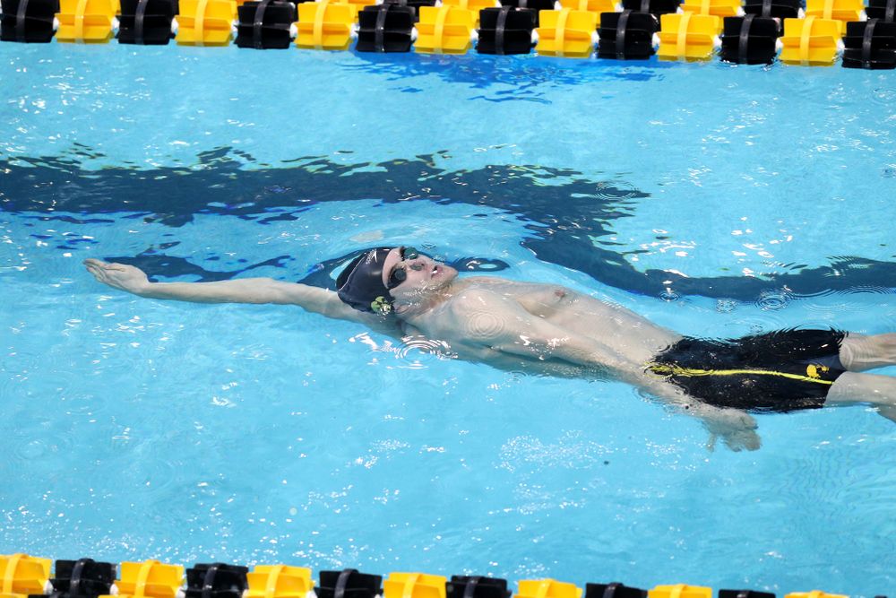 Iowa's Kenneth Mende competes in the 200-yard backstroke during the 2019 Big Ten Men's Swimming and Diving Championships Saturday, March 2, 2019 at the Campus Wellness and Recreation Center. (Brian Ray/hawkeyesports.com)