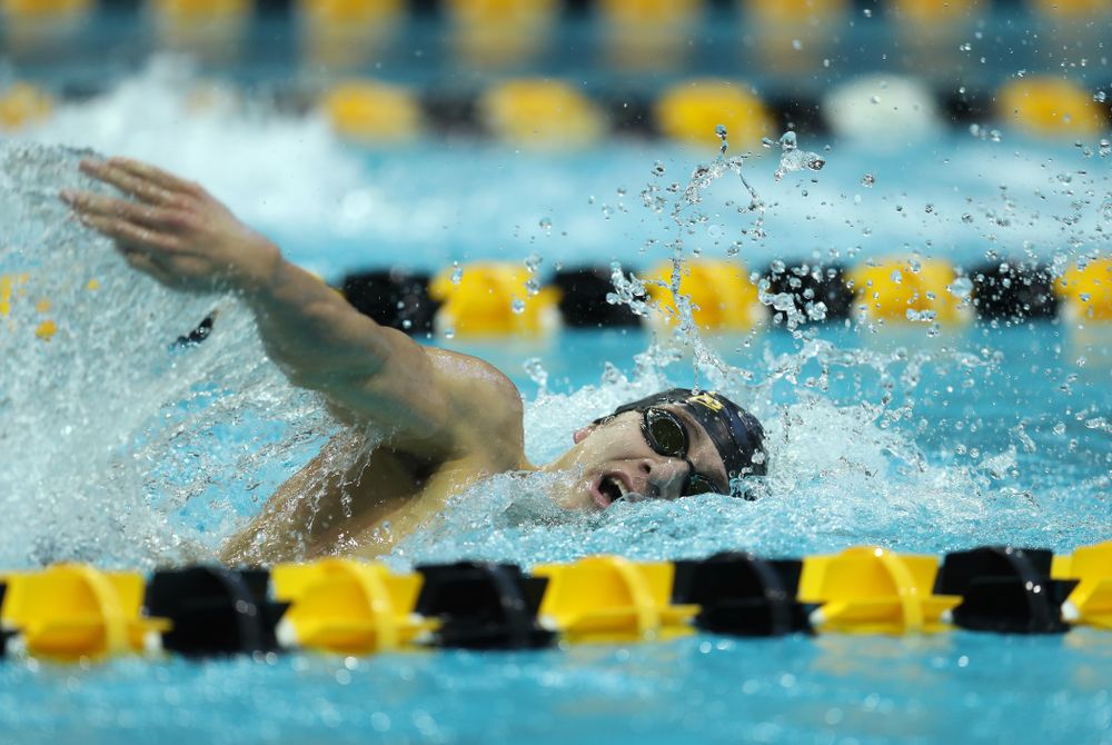 Iowa's Michael Tenney swims the 500 yard freestyle Thursday, November 15, 2018 during the 2018 Hawkeye Invitational at the Campus Recreation and Wellness Center. (Brian Ray/hawkeyesports.com)