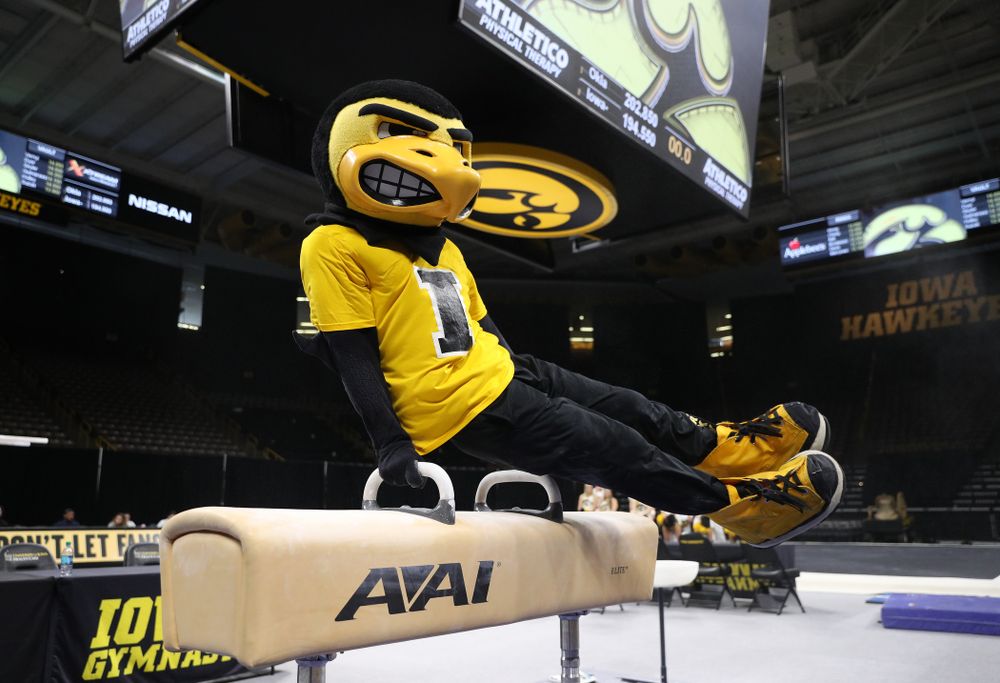 Herky The Hawk on the pommel horse against Oklahoma Saturday, February 9, 2019 at Carver-Hawkeye Arena. (Brian Ray/hawkeyesports.com)