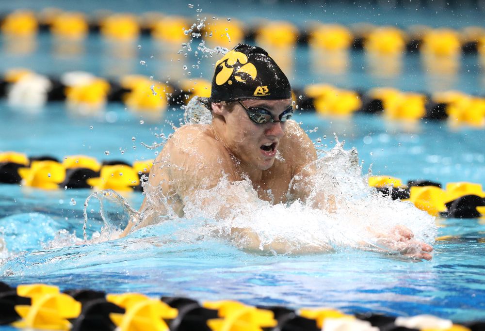 Iowa's Daniel Swanepoel swims the breaststroke leg of the 200 medley relay at the 2019 Big Ten Swimming and Diving meet Wednesday, February 27, 2019 at the Campus Wellness and Recreation Center. (Brian Ray/hawkeyesports.com)