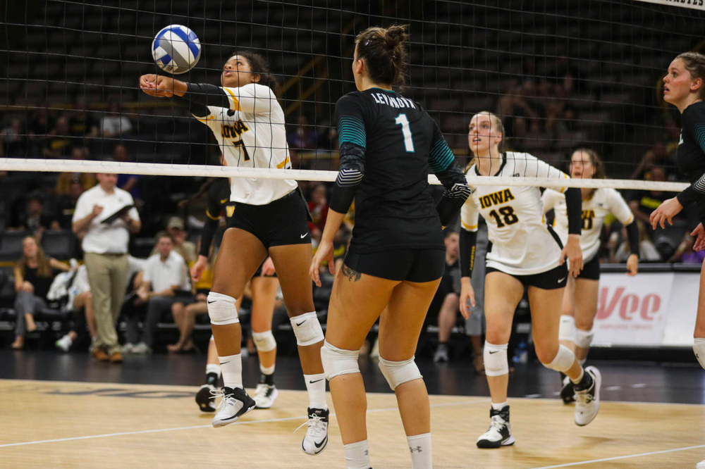 Iowa Hawkeyes setter Brie Orr (7) against Coastal Carolina Friday, September 20, 2019 at Carver-Hawkeye Arena. (Lily Smith/hawkeyesports.com)