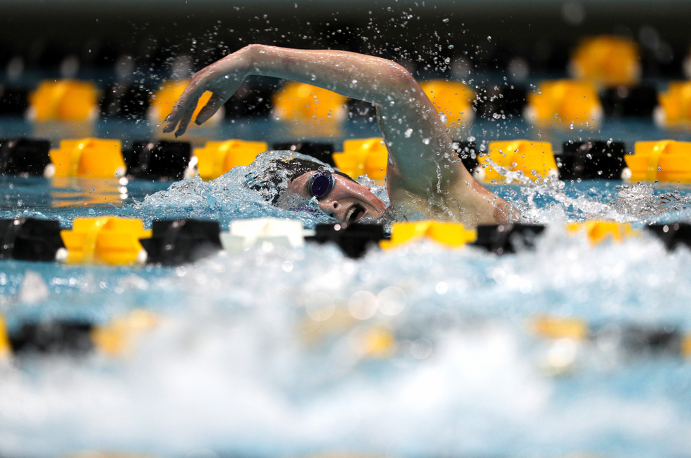 Iowa's Abbey Schneider swims the 500-yard freestyle against the Iowa State Cyclones in the Iowa Corn Cy-Hawk Series Friday, December 7, 2018 at at the Campus Recreation and Wellness Center. (Brian Ray/hawkeyesports.com)