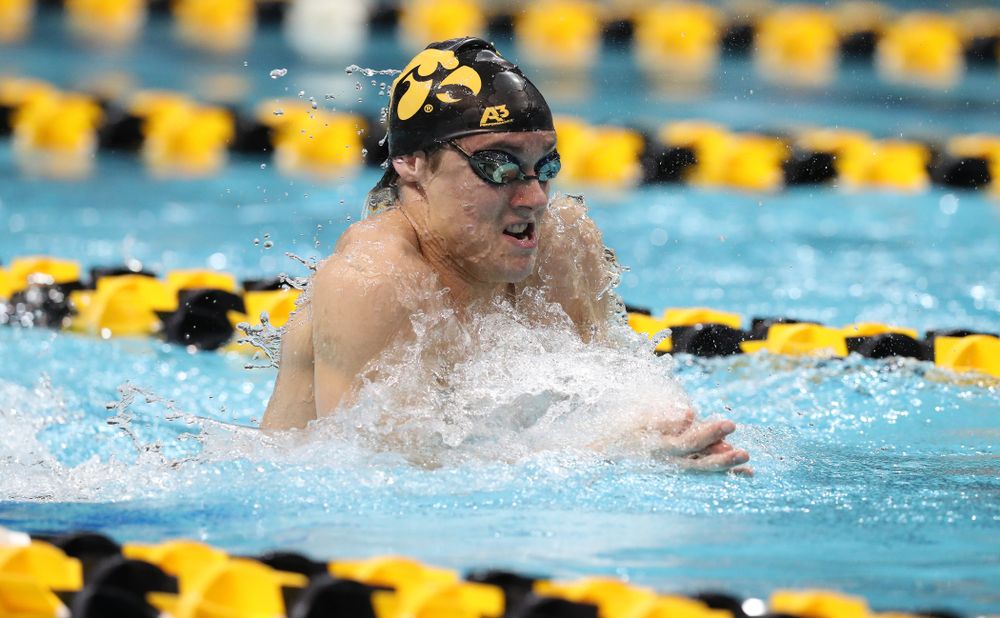 Iowa's Daniel Swanepoel swims the breaststroke leg of the 200 medley relay at the 2019 Big Ten Swimming and Diving meet Wednesday, February 27, 2019 at the Campus Wellness and Recreation Center. (Brian Ray/hawkeyesports.com)