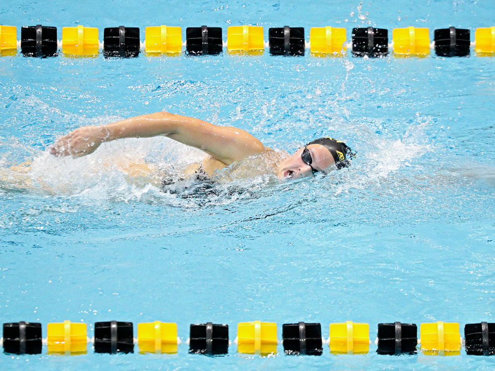 Iowa’s Emilia Sansome swims the women’s 1000-yard freestyle event during their meet against Michigan State and Northern Iowa at the Campus Recreation and Wellness Center in Iowa City on Friday, Oct 4, 2019. (Stephen Mally/hawkeyesports.com)