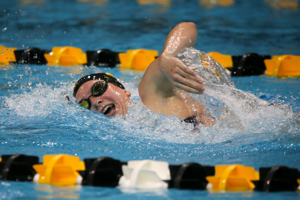 Anna Brooker during Iowa women’s swimming and diving vs Rutgers on Friday, November 8, 2019 at the Campus Wellness and Recreation Center. (Lily Smith/hawkeyesports.com)