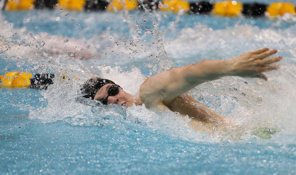 Iowa's Ben Colin competes in the 100-yard freestyle during the third day of the Hawkeye Invitational at the Campus Recreation and Wellness Center on November 17, 2018. (Tork Mason/hawkeyesports.com)