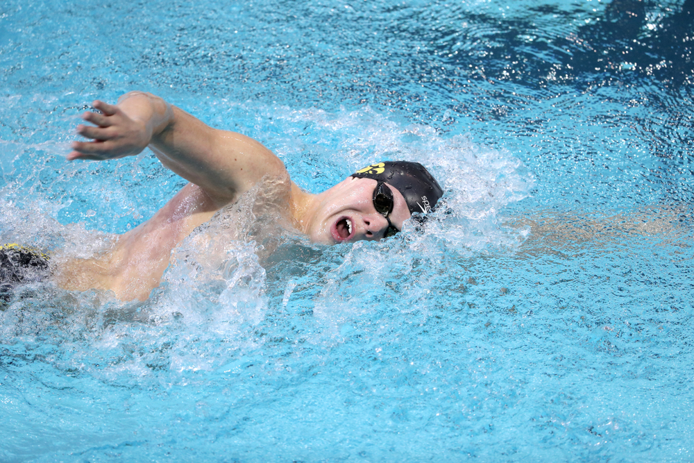Iowa's Forrest White swims in the preliminaries of the 500-yard freestyle during the 2019 Big Ten Swimming and Diving Championships Thursday, February 28, 2019 at the Campus Wellness and Recreation Center. (Brian Ray/hawkeyesports.com)