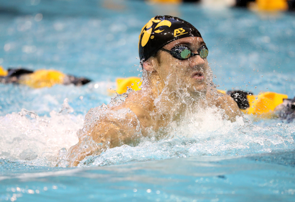 Iowa's Daniel Swanepoel swims the breaststroke leg of the 200 yard medley relay during a double dual against Wisconsin and Northwestern Saturday, January 19, 2019 at the Campus Recreation and Wellness Center. (Brian Ray/hawkeyesports.com)