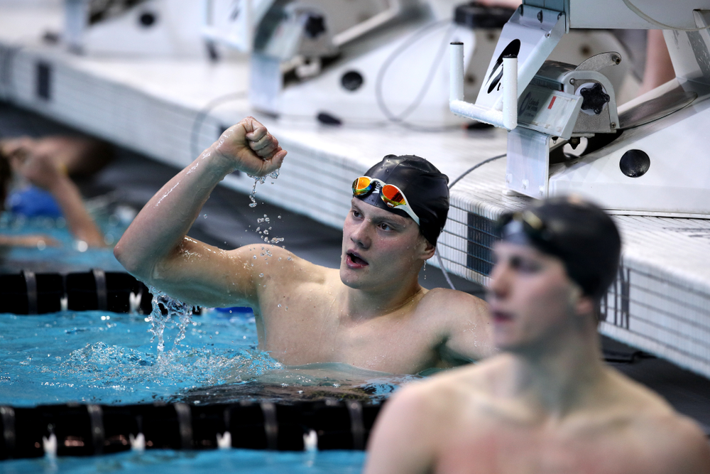 Iowa's Anze Fers Erzen swims in the preliminaries of the 200-yard IM during the 2019 Big Ten Swimming and Diving Championships Thursday, February 28, 2019 at the Campus Wellness and Recreation Center. (Brian Ray/hawkeyesports.com)
