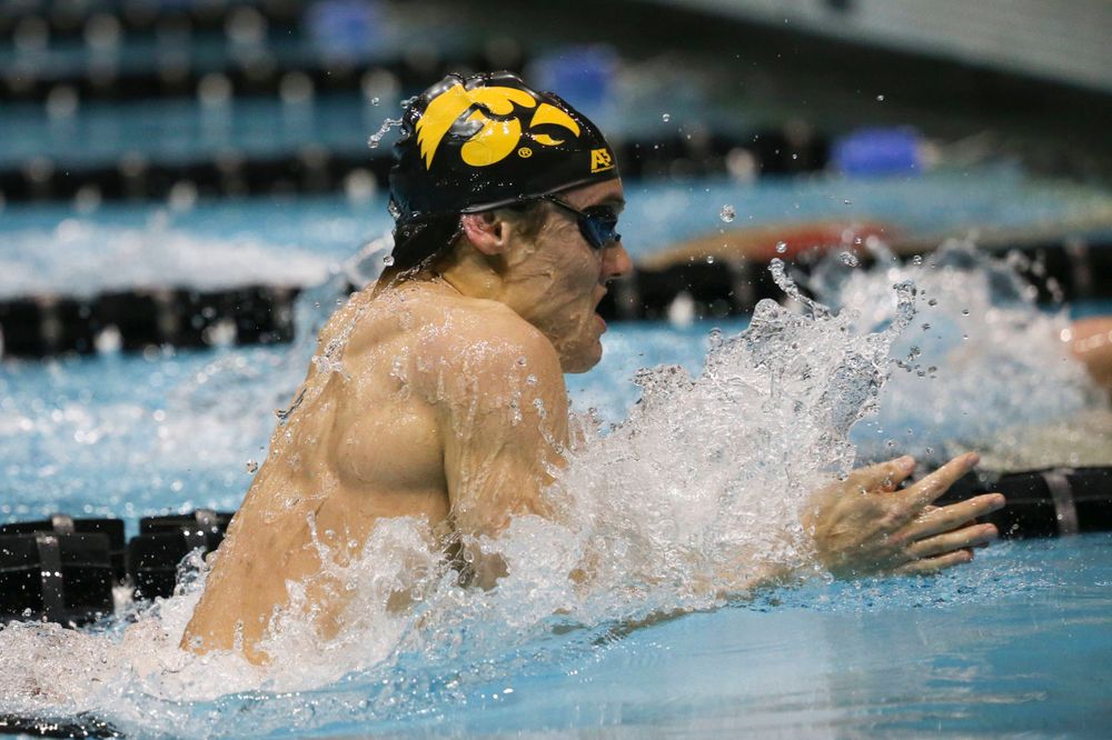 Iowa's Daniel Swanepoel at the 200-yard breaststroke race Saturday, March 2, 2019 at the Campus Recreation and Wellness Center. (Lily Smith/hawkeyesports.com)