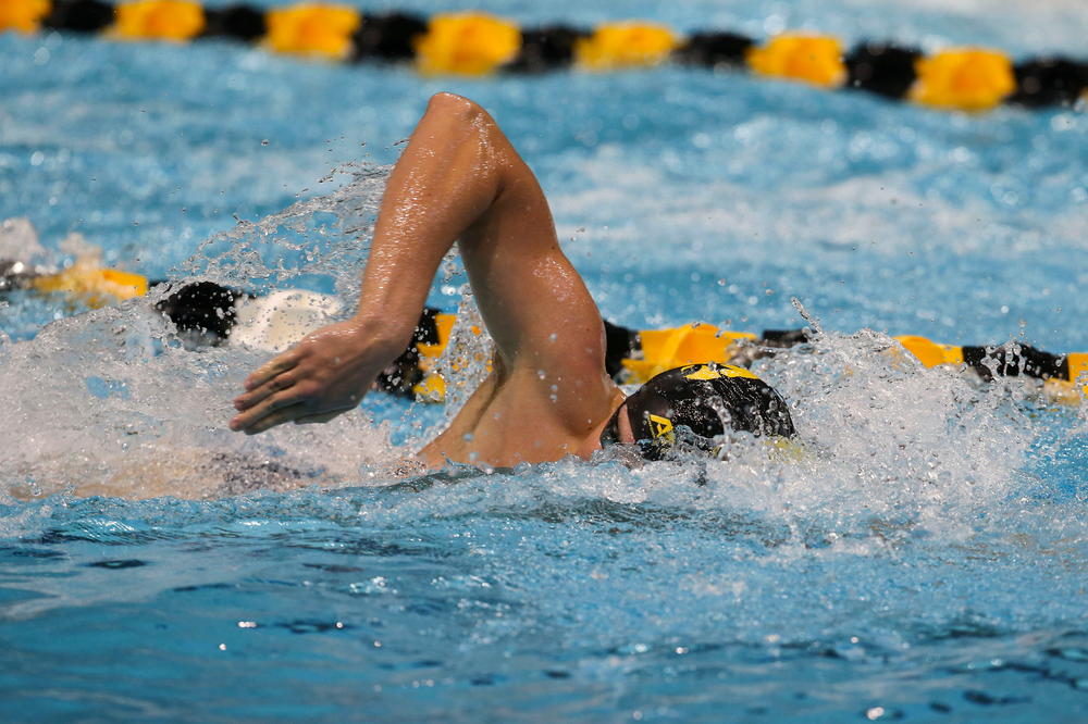 Iowa’s Jackson Allmon during Iowa swim and dive vs Minnesota on Saturday, October 26, 2019 at the Campus Wellness and Recreation Center. (Lily Smith/hawkeyesports.com)