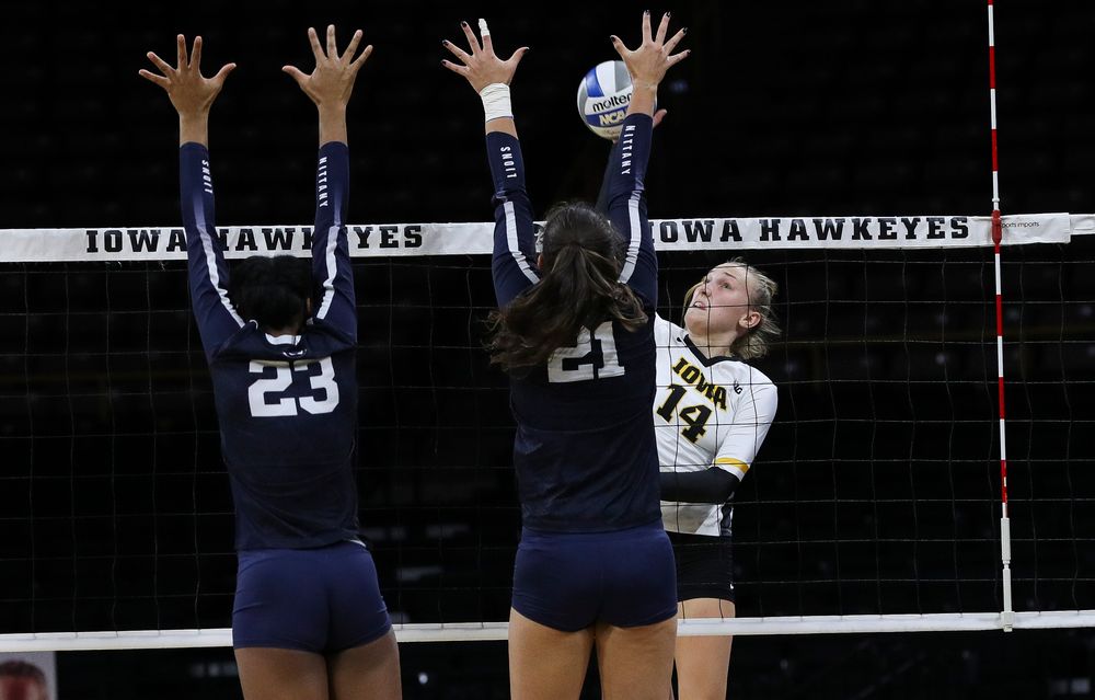 Iowa Hawkeyes outside hitter Cali Hoye (14) spikes the ball during a match against Penn State at Carver-Hawkeye Arena on November 3, 2018. (Tork Mason/hawkeyesports.com)