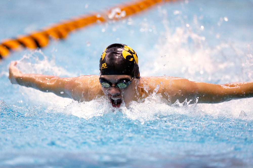 Matjaz Rozman swims the 100 yard butterfly during the Black and Gold Intrasquad Saturday, September 29, 2018 at the Campus Recreation and Wellness Center. (Brian Ray/hawkeyesports.com)