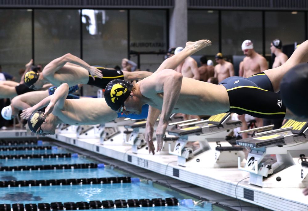 Iowa's Stjepan Fiolic competes in the 100-yard freestyle during the 2019 Big Ten Men's Swimming and Diving Championships Saturday, March 2, 2019 at the Campus Wellness and Recreation Center. (Brian Ray/hawkeyesports.com)
