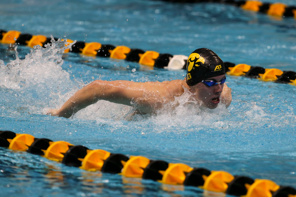Iowa’s Dolan Craine during Iowa swim and dive vs Minnesota on Saturday, October 26, 2019 at the Campus Wellness and Recreation Center. (Lily Smith/hawkeyesports.com)