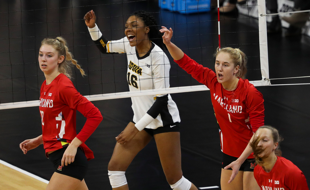 Iowa Hawkeyes outside hitter Taylor Louis (16) celebrates after winning a point during a match against Maryland at Carver-Hawkeye Arena on November 23, 2018. (Tork Mason/hawkeyesports.com)
